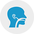 Especialidades Otorrinolaringologia